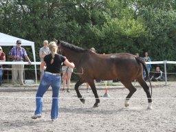 IMG_1354_web